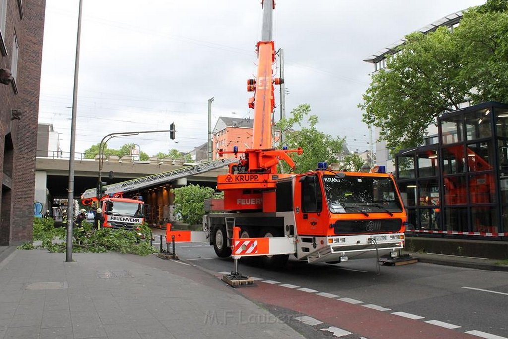 Baum umgestuerzt Koeln U Bahn Hansaring P14.jpg